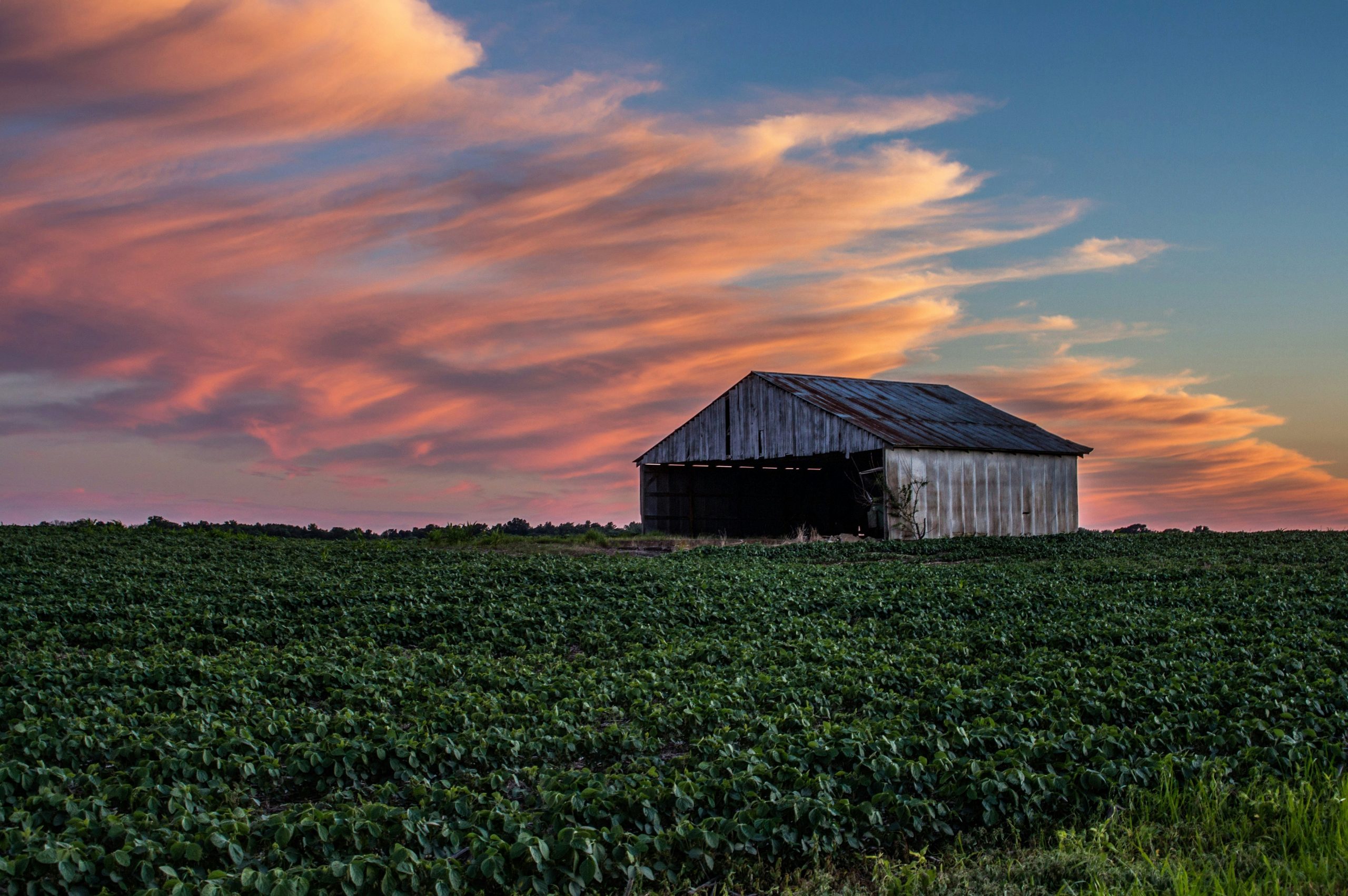 Indiana countryside